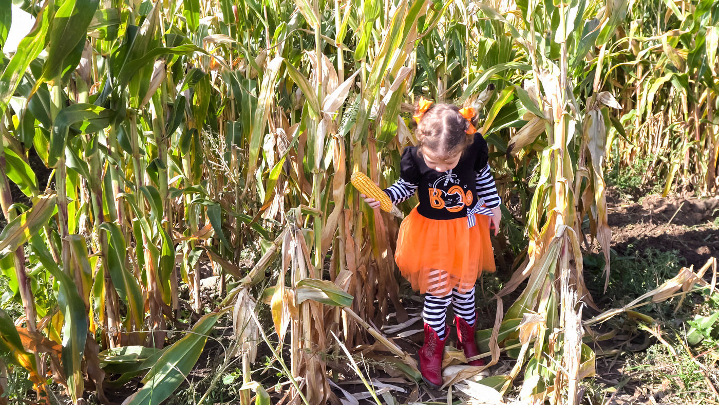 Our Saskatoon hotel offers a list of some of the best corn mazes and Halloween events for kids and adults alike