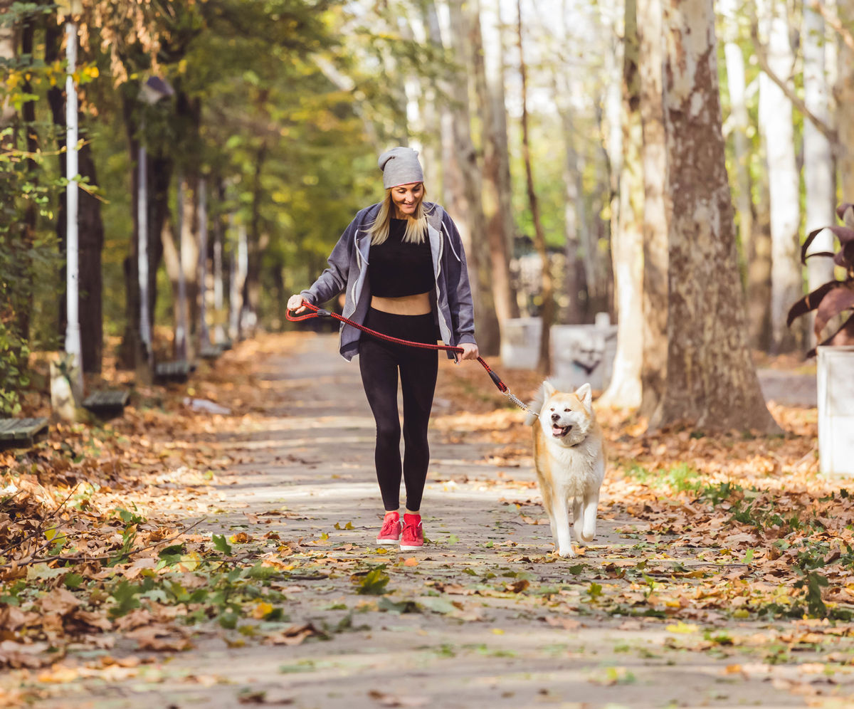 Take your dog for a walk along the many trails near pet friendly hotels in Saskatoon.